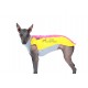 Fleece vestička SPORTY SPRING LIMITOVANÁ EDICE